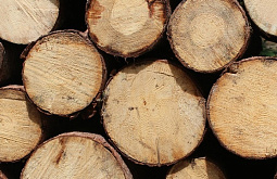 � �������������� �� ����-��� ���������� ������� ������������