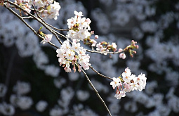 � ������� ��������� ����� ����� ������