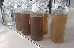 � ������� ����� �����, ��� ������������ ������������