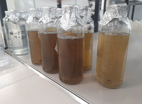 � ������� ����� �����, ��� ������������ ������������