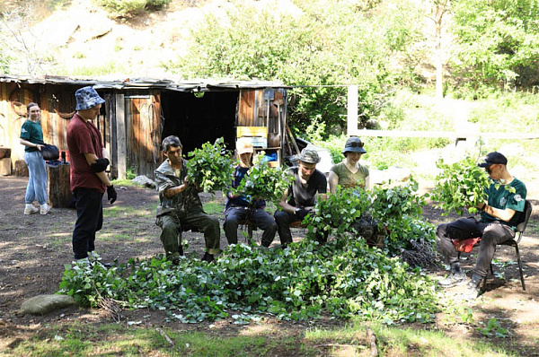 � �������������� �������� ������������ ����������� ����