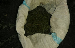 ������ ������� ������� ����� ������� � ������ 