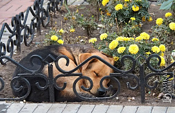 ��������������� �� ������� ����� ����� ����� � ����������