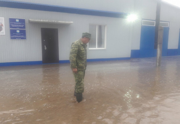 � ������� �������� �������� ����� 