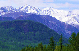 �������� �� �������� ����� ��������� � ������� ���������