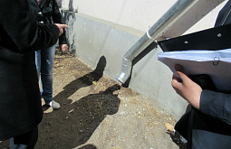 ����������� �������� ������� ������������ � ���������� 