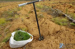 ������� ������� ����� ������� ��� �������������� ����� 