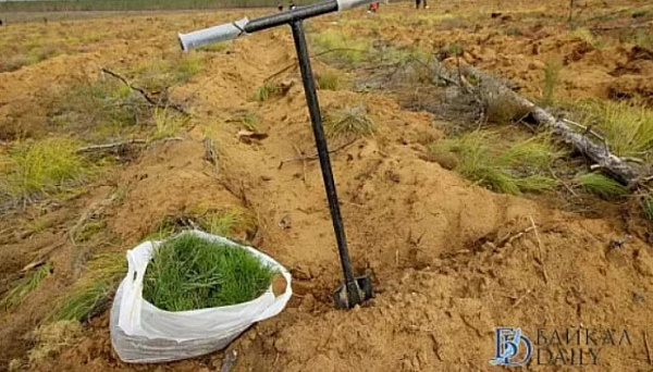 ������� ������� ����� ������� ��� �������������� ����� 