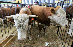 ���������� ������������ � ����� ���������� �������� ���������������