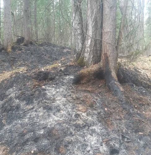 � ������� ������������ ������ �����, �� �������� ����� ����� ��