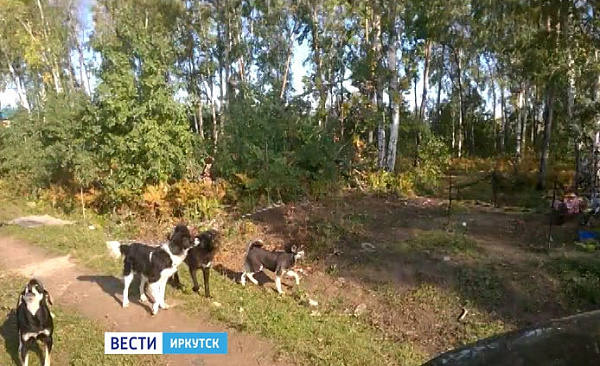 ������ ����������� ������ �� �������� ��� ���������