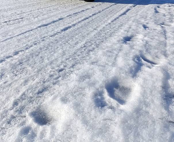 � ����������� � ������� ���������� �������