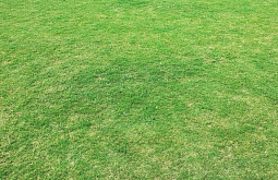 � ������� ��������� �������� ��� ������� 