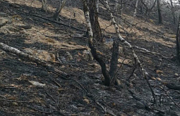 � ������� �������� ������ ����� � ���� �����