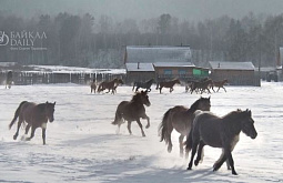 ������ ������� ������� ���������� �� ����������� ��� �������