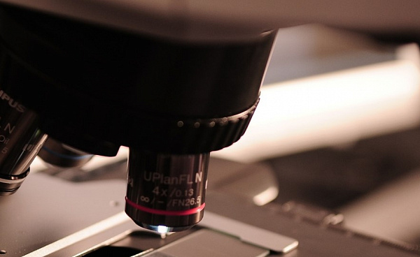 ������� �� ����������� ������ �� ����� ���������� �� ������� 