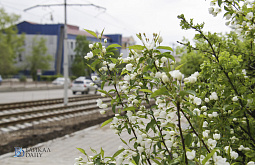 �� ��������� 50-��� ������� � ����-��� �������� ������. ������������