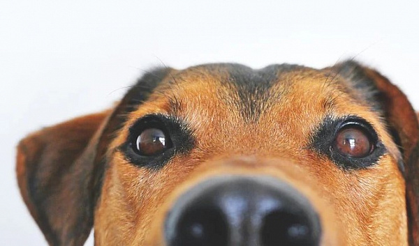 � ������� �������� ��������� ��������� 