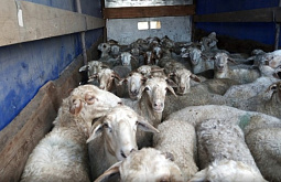 �� ������� � ������� ����� ���� ��� ����������