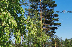 ���� �� ������ ������� ������� ���������