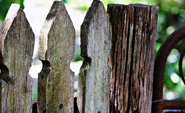 ����-������, � ���� �������� ������� ���, ��������� �� ������ 