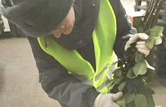 � ������� ������� ���������� ����� 22 ����� ��� �� �������� 