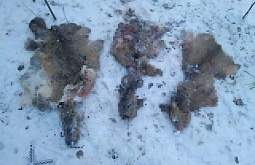 � ��������� ������� ��������� ��������� ��������� ������  