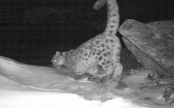 � ������� ����������� ����������� ������� ���� ������� ������ 