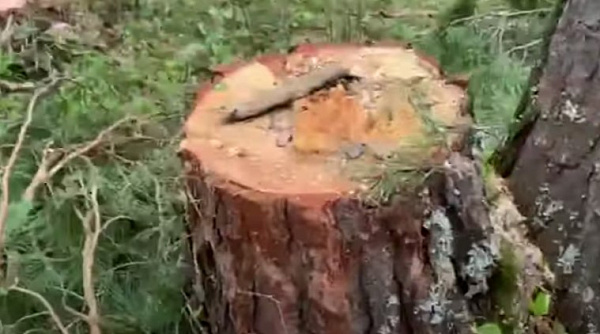 ������ ������� ������� � �������� ������� �� 800 ����� 