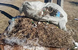 ���������� � ������� ���������� ������ ��������