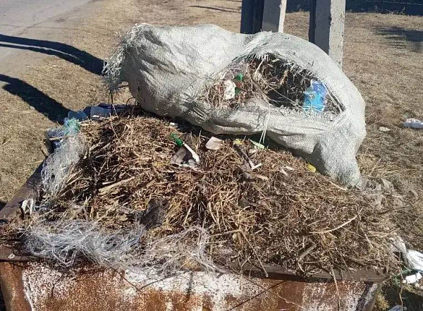 ���������� � ������� ���������� ������ ��������