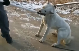����� ������� ��� ������ �� ������� ������� ����� �� �����
