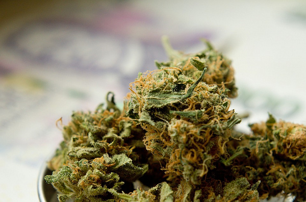 У наркомана в Бурятии изъяли 4 кг марихуаны