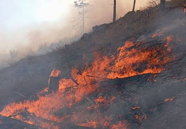 � ������� ������� ��������� �����