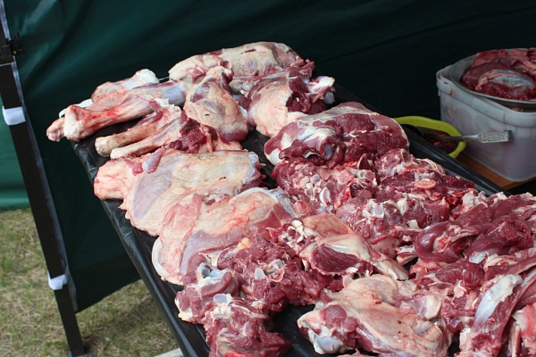 �� ������ ����� ������� ������ ����� 860 ���� ������, ���� � ����