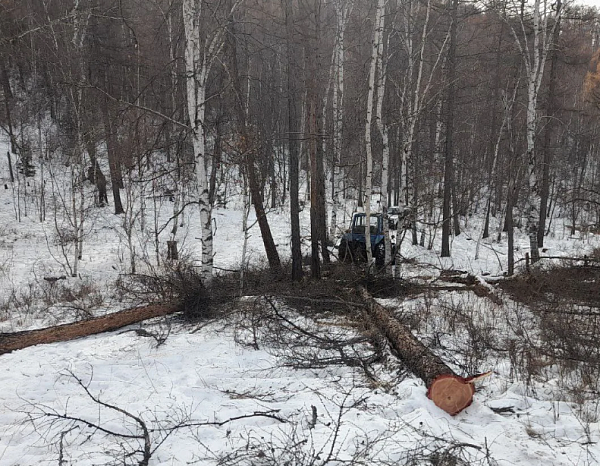 � ������� ������� �������� ����� �� ����� ���������