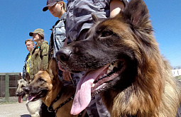 � ����-��� ������� ������-����� ��� ���������-���������: ������������ 