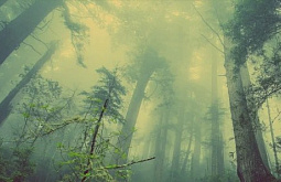 ������ ��������� ������� ����� ������� � ������ ������� � ����  