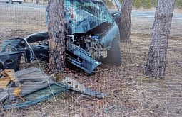 �� ������� ���������� ��������� 14 ��� �� ����� 