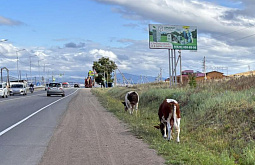 ������ ������� �������� �� ���� ������, ���������� ���