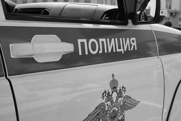 ���� ������ ������� ���� ������ ����� ������ ���������������