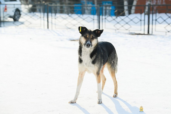 � ����-��� ������ ��������� ��������� ����� 