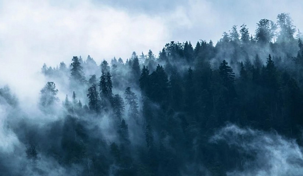 � ������� ���������� ������ �������� ����� 