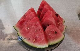 � ������� ������������ �� �������� ���� � ������ � ��������������� ������