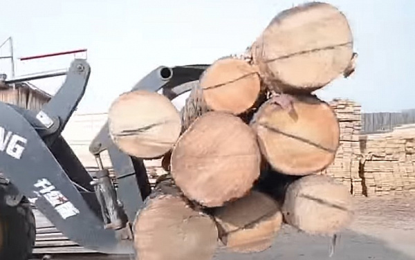 Алексей Кудрин рассказал о незаконном вывозе миллионов тонн бурятского леса 