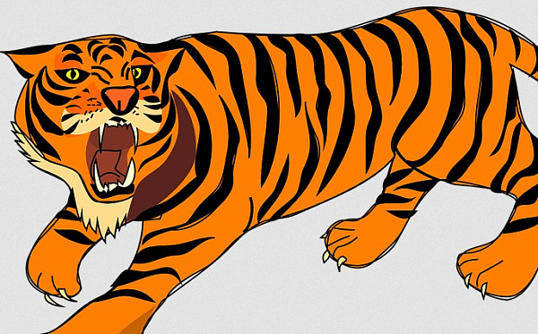 В улан-удэнской типографии закончились календари с тигром на 2022 год