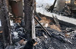 � ��������� ������� ���������� ������ ����� ������� � ������ 