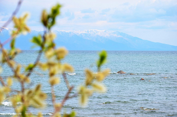 ������� ����� ���������� �������� �� �����