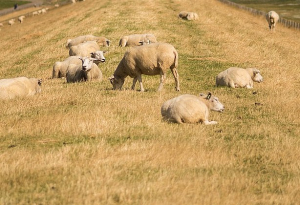 ���� ������� ����������� ������ � ������� 30 ������� 