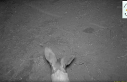 � ������� ����������� �������� ������� � ����-�� ����������